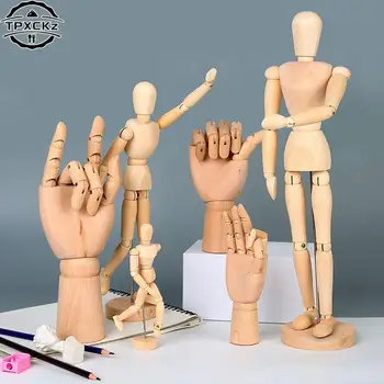Figūrėlės Namų dekoras Menininkas Modeliai Sujungtas lėlių piešimo eskizas Manekeno modelis Judančios galūnės Medinės rankos kūnas Piešimo veiksmo žaislai