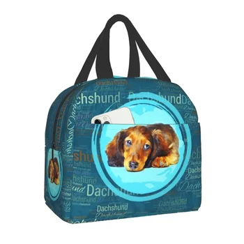 Mielas taksas Izoliuotas Pietų krepšys Moteriška dešra Wiener Badger Šunų aušintuvas Terminis maistas Pietų dėžutė vaikams Moksleiviai