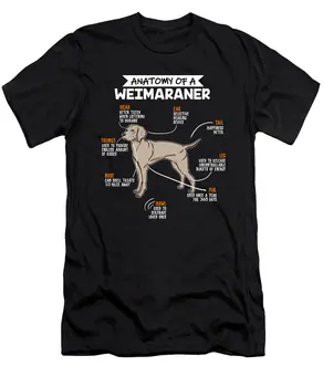 Weimaraner šunų marškinėlių anatomija